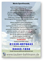 Flyer 2025.jpg
