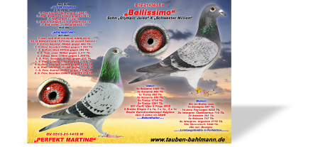 Martine x Bellsissimo.jpg