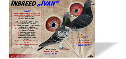 INBREED IVAN 2019.jpg