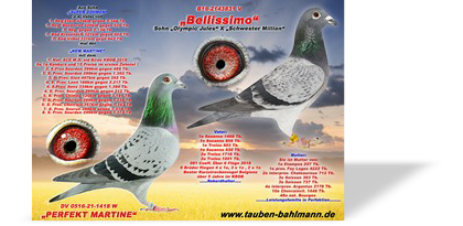 Martine x Bellsissimo.jpg