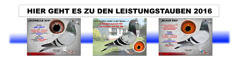 Leistungstauben 2016