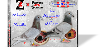 FSP3 FERTIG.jpg