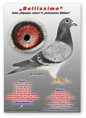 B19-2143831 NEW COLLAGE.jpg