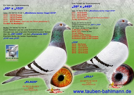 Col Steinbrink 1.jpg