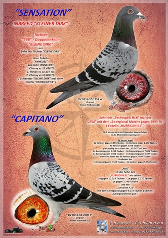 COL 22 1759 2609 ++.jpg