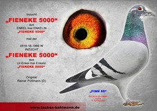 0516-20-1866-V Finn 66.jpg