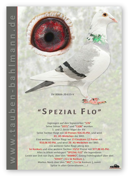 Spezial Flo.jpg