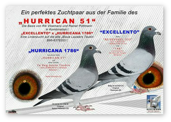 HURRICAN COLLAGE 2016.jpg