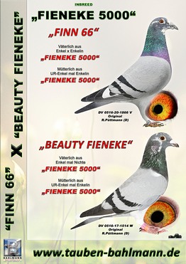 INBREED FIENEKE B.jpg