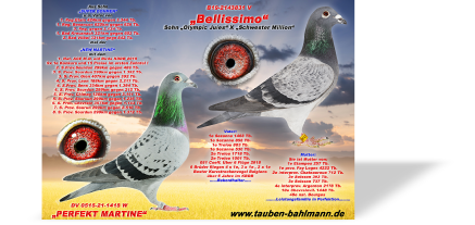 Martine x Bellsissimo.jpg