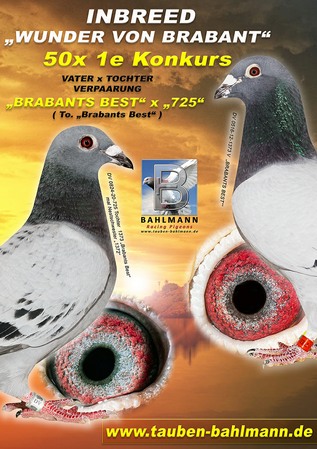 COL BRABANT 2020.jpg