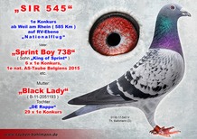 0135-17-545 Herbots.jpg