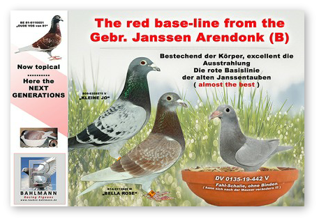 Col1  9 17 Kopie k.jpg