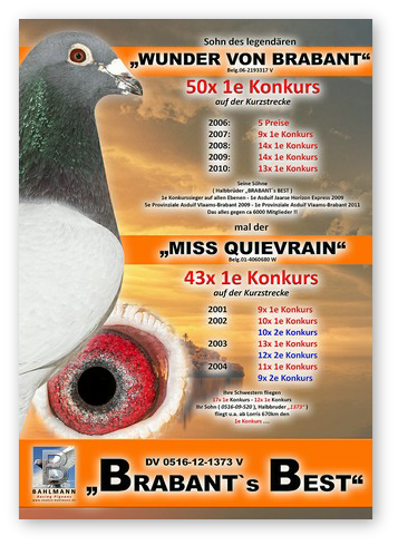 BRABANTS BEST NEU 2.jpg