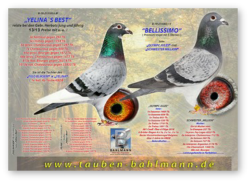 COL YELINA BELLSISSIMO.jpg