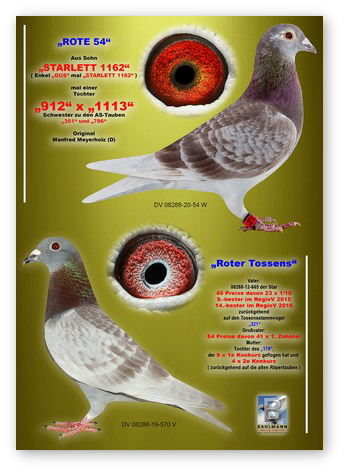 ROTE 54 x ROTER TOSSENS.jpg