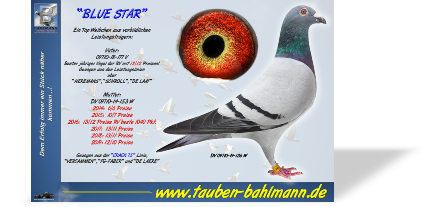 19-136 NEU.jpg
